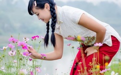 午夜dj在线观看免费完整高清在线视频下载